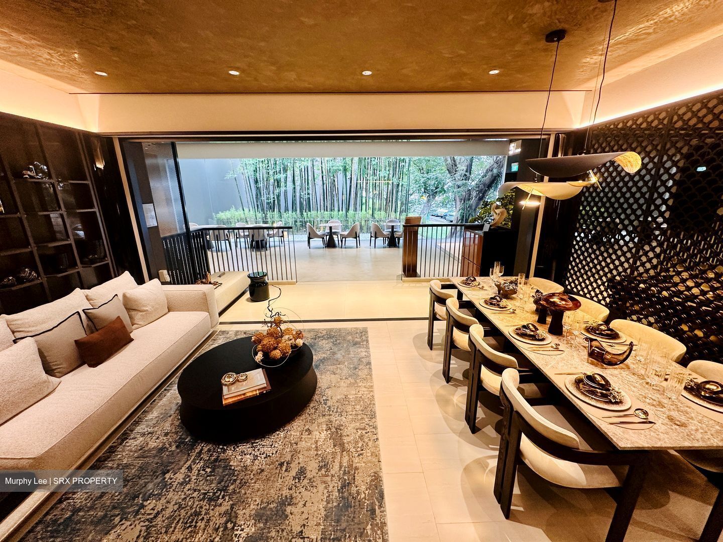 Sora (D22), Apartment #447998151